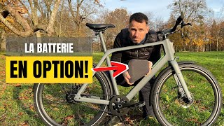 Taillo - En Roue Libre