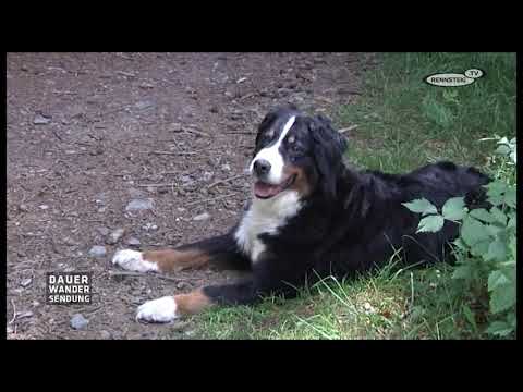 Dauerwandersendung - Durch die Gießübler Schweiz