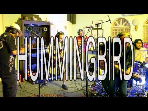 Simius GOLD live - Poor Man Cigarette - Hummingbird