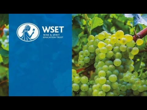 WSET level 2 Updated examination questions