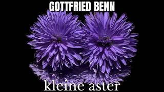 Gottfried Benn: Kleine Aster | Hörbuch deutsch