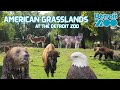 American Grasslands At The Detroit Zoo Exhibit Tours Ep 64