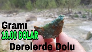 GRAMI 10.00 DOLAR DERELERDE DOLU!