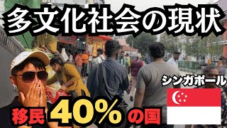 【シンガポール】多文化社会は成功か？中華民族多数の国家なのに中華文化喪失！