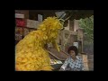 Sesame Street 0850 Street Scenes Cookie Monster S Disguises