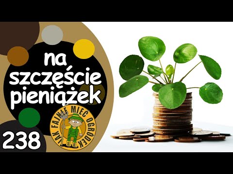 #238 Jak pielęgnować pieniążka?