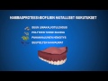 NitrAdine Disinfecting Denture Tabs