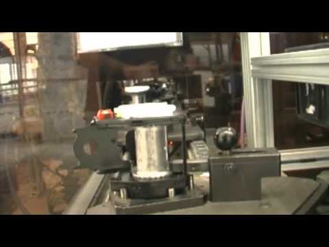 Institucional - Chris Cintos