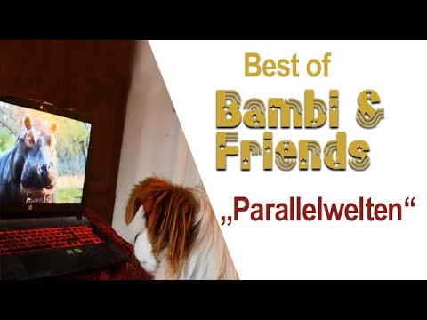 BEST OF BAMBI  *PARALLELWELTEN* von Maja Nowak