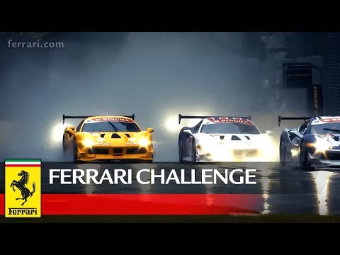 Ferrari Challenge APAC - Melbourne 2018, Trofeo Pirelli Race 1