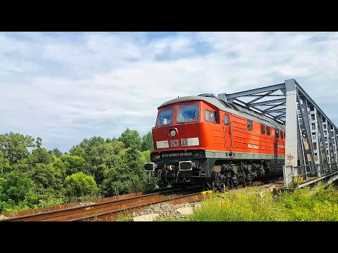 Diverse trenuri de călători și marfare-Various passenger & freight trains-Oradea-Romania-22.07.2020