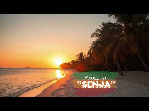 Pace Leo - Senja
