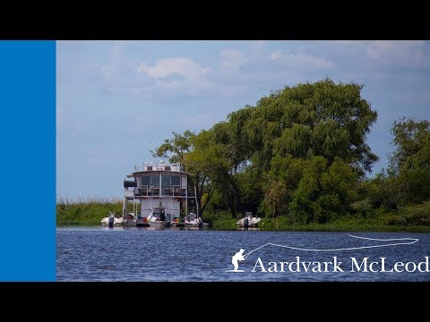 Golden Dorado fly fishing in Argentina on the Golden Dorado River Cruiser.