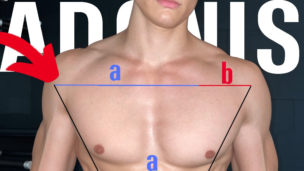How To Get AESTHETIC SHOULDERS FAST!!!