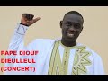 Pape Diouf - Dieulleul | Version live | HQ Live Version