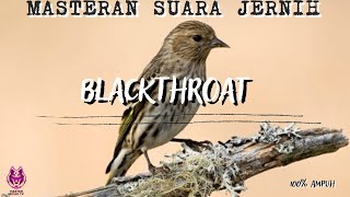 Download lagu MASTERAN BLACKTHROAT GACOR FULL ISIAN TEMBAKAN MEWAH mp3 Download lagu MASTERAN BLACKTHROAT GACOR FULL ISIAN TEMBAKAN MEWAH mp3