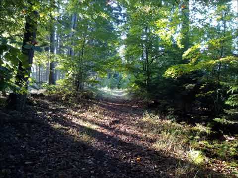 Turpin Hero (Roud 621) - Sam Friend