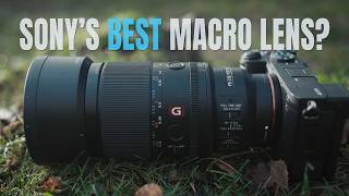 Is This the Ultimate Sony Macro Lens? FE 100mm F2.8 GM OSS + A7CR Field Tested