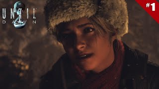 Drame au mont Washington (Until Dawn #1 en Coop avec Nota)