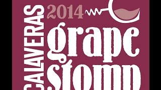 preview picture of video 'Grape Stomp & Gold Rush Street Faire 2014'