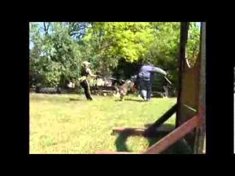 MRAZOVAC K9-35 YEAR OF TRADITION.