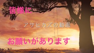 プロフィール画像変えていいですか？