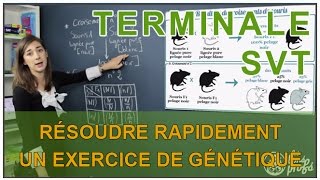 Résoudre rapidement un exercice de génétique - SVT Terminale S - Les Bons Profs