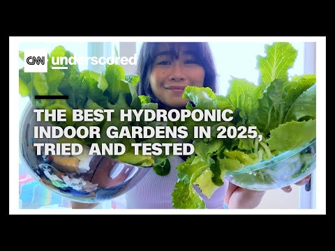 The best hydroponic indoor gardens in 2025, tried and tested
