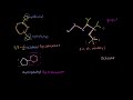 Organic Chemistry Naming Examples 2 Video Tutorial