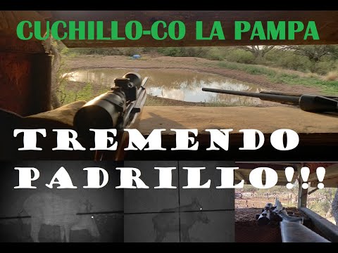 Caza de Jabalí en Cuchillo-Co LA PAMPA