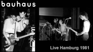 BAUHAUS - Hair of the dog (Live 1981)