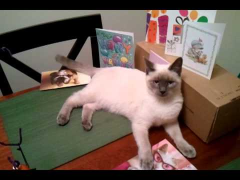 Layla dislikes birthday cards