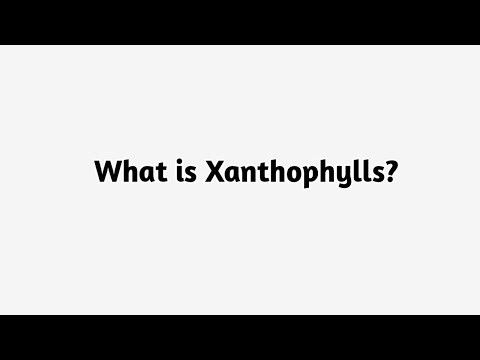 Xanthophyll Powder