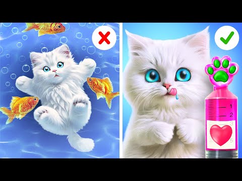 Cuide do seu gatinho ❤️😊 Hacks and Cat's Makeover by Coolala