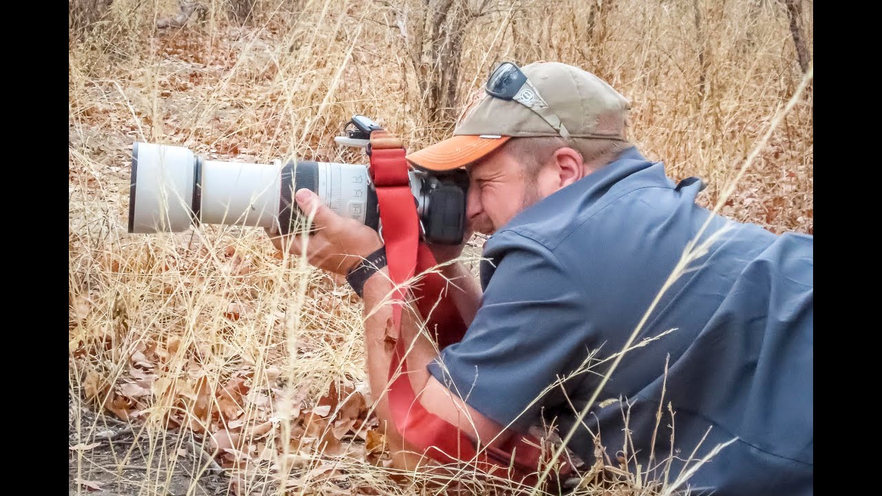 Canon R5 & Canon RF 100-500mm F4.5-7.1L IS USM for Wildlife