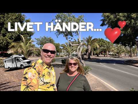 VALENTINE, FÖDELSEDAG & VETERINÄRBESÖK - LIVET I HUSBIL ÄR INTE ALLTID SEMESTER!