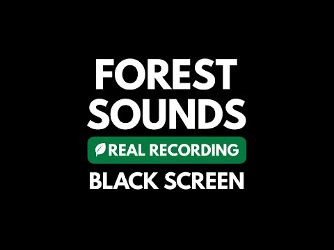 Black Screen Forest Sounds at Night: Relaxing Nature Sounds & Crickets for Sleeping (3 Hours)