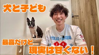 犬と子育ては本当に幸せ？実際に暮らして分かった現実