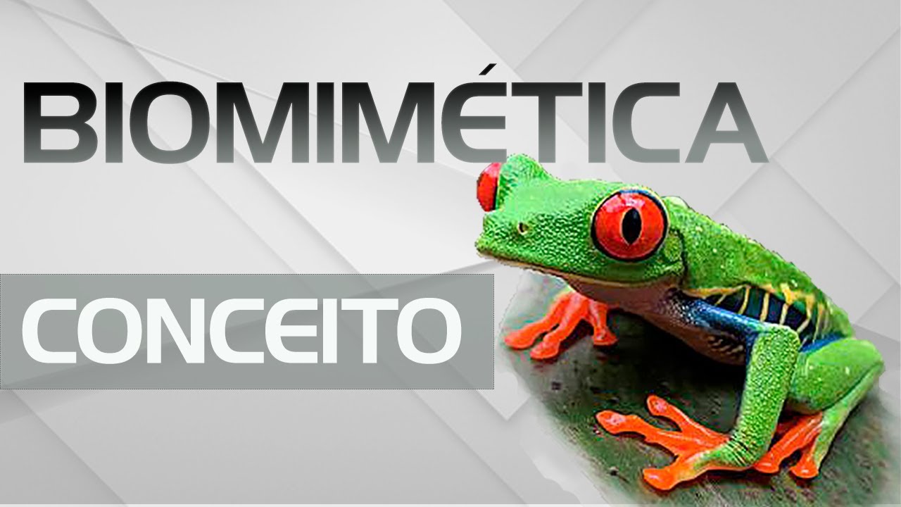 Biomimetics - Origin, concept and examples.