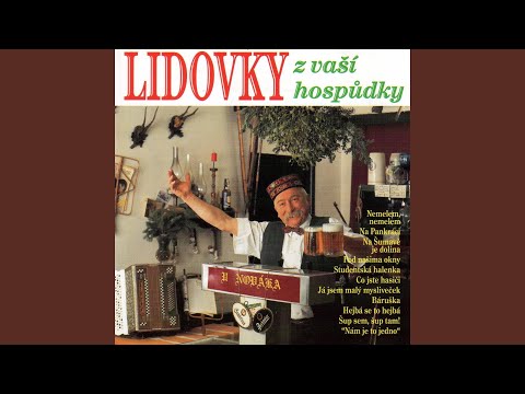 Spadl Lístek Z Javora