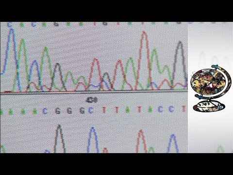 The Historic Race to Decode the Human Genome (2000)