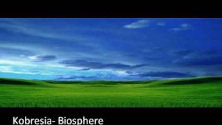 Kobresia- Biosphere