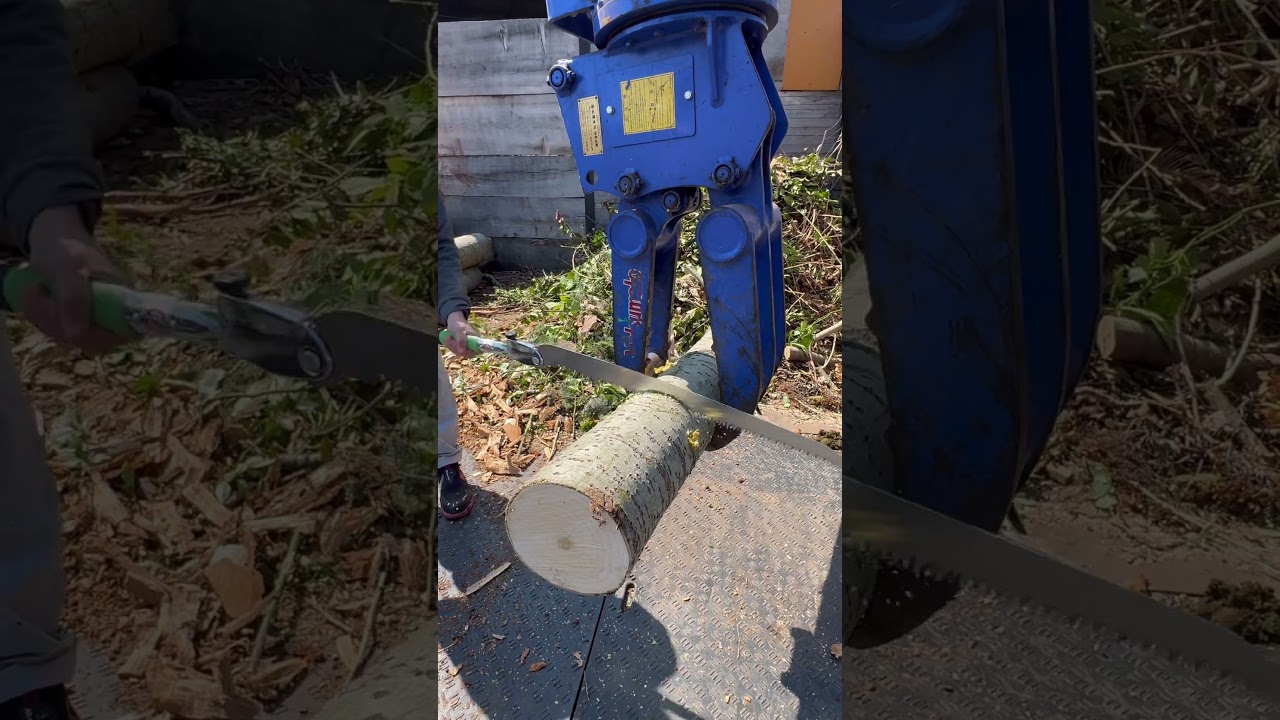 シルキー　カタナボーイ[KATANA　BOY]650mm