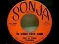 Ike & Tina Turner   I'm Going Back Home