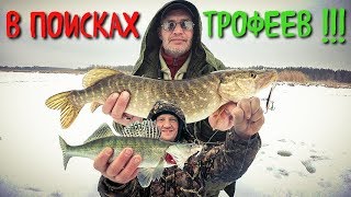 Ловля щуки в зимней период