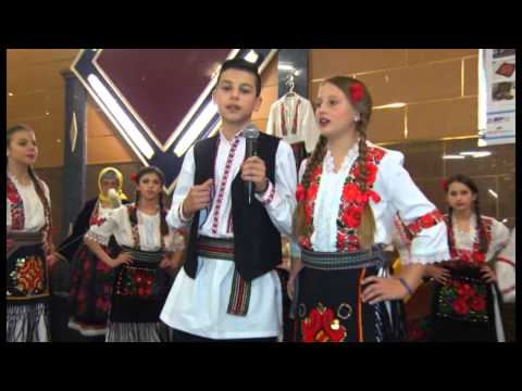 podvrscansko vece  3 deo orkestar cimeri  zika dragana ziva dinulovic