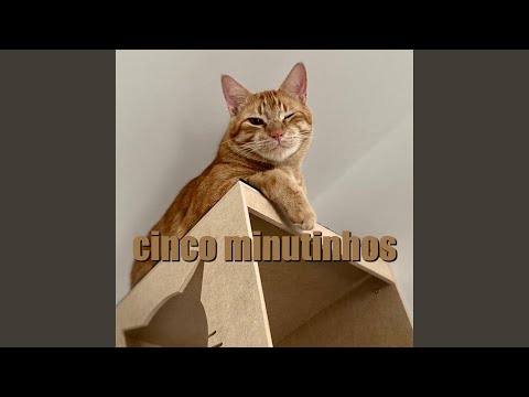 Cinco Minutinhos - Matheus Vps