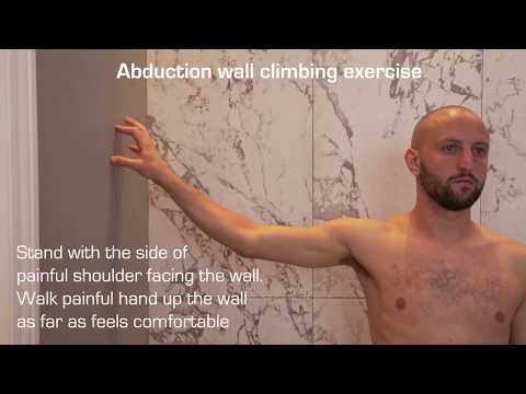Shoulder Abduction Exercise - Wall Climbing