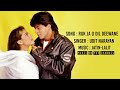 Ruk Ja O Dil Deewane Lyrics Video Song Udit Narayan