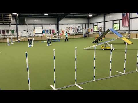 May 25, 2025, Fizz at 23 months Open Std Title